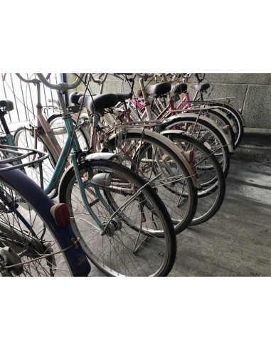 Lote de 10 bicicletas vintaje...