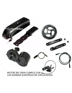 KIT MOTOR 36V 250W GOSPADE...